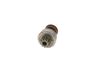 BOSCH Ritzel - 2006209444