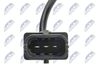 ECP-FT-010_3-WM.JPG