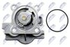 CTM-FT-007_4-WM.JPG