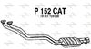 P152CAT.JPG