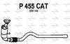 P455CAT.JPG
