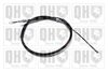 QH_BC3764.JPG