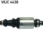 VKJC 4438_3.JPG