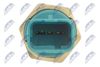 ECW-RE-010_4-WM.JPG