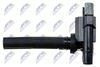 ECZ-SU-004_3-WM.JPG