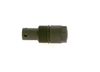 Bosch Pressure Relief Valve, common rail system F 00R 0P2 437