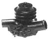 WPW-901 01.JPG
