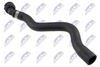cpp-vw-051_2-wm.JPG