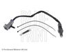 ADA107039_1.JPG