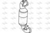 P9630CAT.JPG