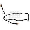 981158.JPG