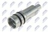 BWP-PL-000_2-WM.JPG