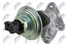 EGR-TY-013_2-WM.JPG