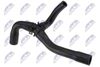 cpp-vw-028_2-wm.JPG