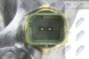 CTM-FT-014_6-WM.JPG