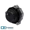 801220-1-V1-OEG.JPG