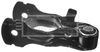 BEM4309_1136732.JPG