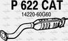 P622CAT.JPG