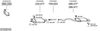 SYS28743.JPG
