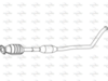 P8277CAT_1.PNG