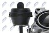 EGR-AU-003_5-WM.JPG