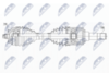 NPW-BM-169_9-WM.PNG