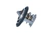 205_725305.ZIP