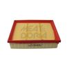 MEAT & DORIA