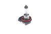 BOSCH VPE1 Gl&uuml;hlampe H16 12V 19W - 1987302089
