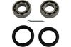 Kavo Parts