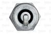 VALEO_SPARK_PLUG_246866_03.JPG