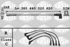 9286005.JPG