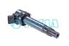 CL921.BMP