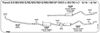 FO164_1.JPG