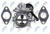 egr-vw-031_8-wm.JPG