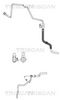 851629055.JPG