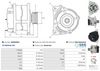 A0934(SEG)_256960.JPG