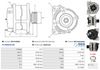 A01412(SEG)_256960.JPG