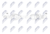 npw-pe-136_9-wm.PNG