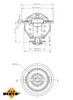 Termostat, chladivo 725140
