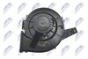 ewn-vw-005_5-wm.JPG