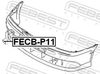 FECB-P11_1.JPG
