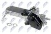 EGR-VW-024_2-WM.JPG