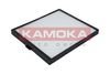 KAMOKA