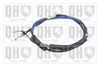 QH_BC4119.JPG