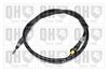 QH_BC4359.JPG