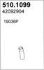 510.1099_1.JPG