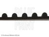 Blue Print Timing Belt ADT37529