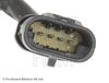 ADC47038_2.JPG