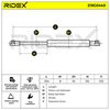 RIDEX